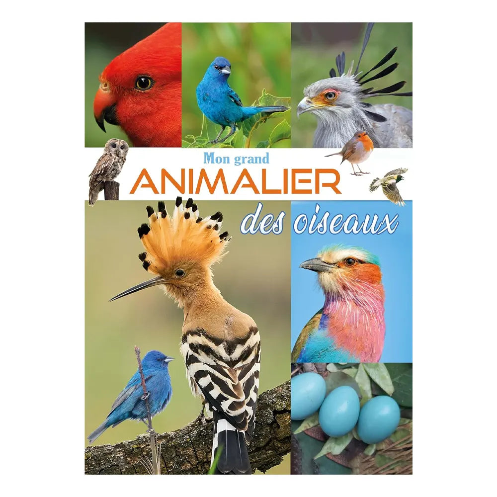 Piccolia Livre Mon Grand Animalier des Oiseaux 