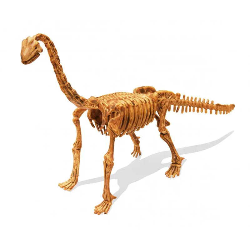 Buki Kit de Fouille Brachiosaure 8A+