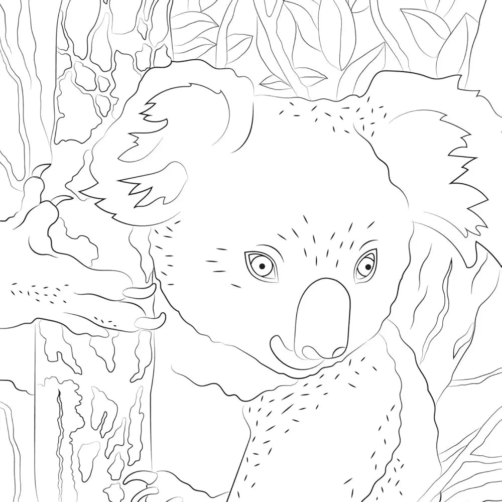 Hachette Mini-Bloc d'Art-Thérapie  Bébés Animaux  – 50 Coloriages