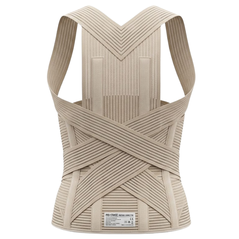 Point Corset Dorso-Lombaire Avec Ceinture Standard Reference 272