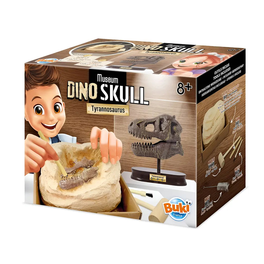 Buki Museum Skull T-rex 8A+