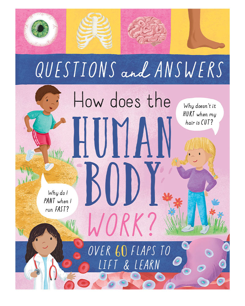 Large Question-And-Answer Flap Book - Human Body