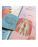 Large Question-And-Answer Flap Book - Human Body