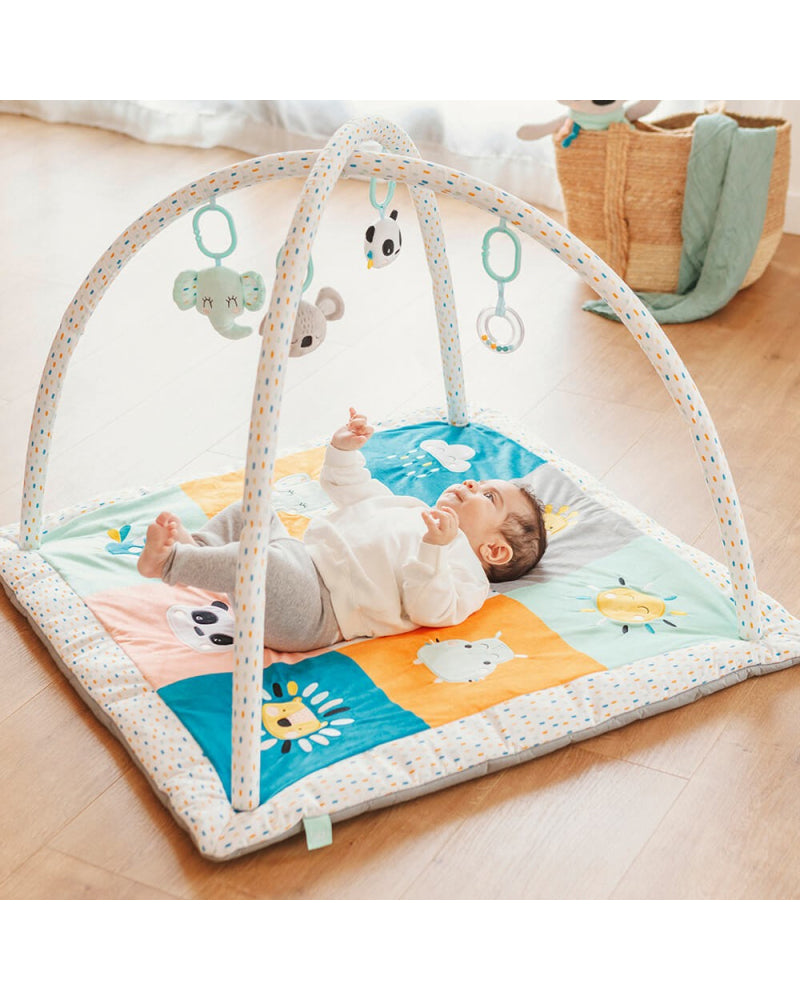 Eurekakids - Tapis d'éveil cucu 0M+