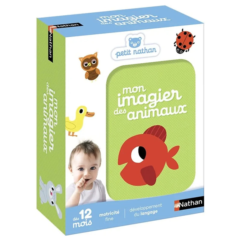 Mi Imaginario de Animales – 12 M+