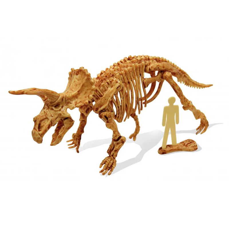 Buki Triceratops Excavation Kit 8Y+
