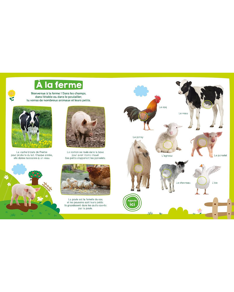 Mon Imagier Sonore - Les Animaux