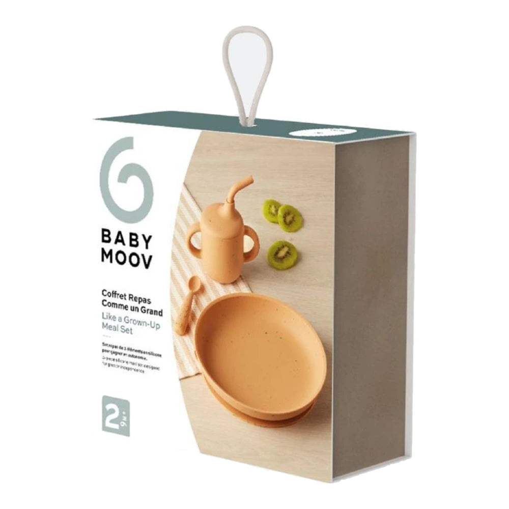 Babymoov Coffret Repas Bébé Comme un Grand 9M+ - Little Arty