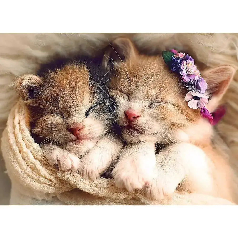 Trefl Puzzle Gatitos Durmiendo 500 Piezas - 10A+