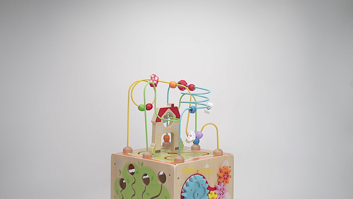 Viga Toys Cube d'Activité 5 en 1 18M+