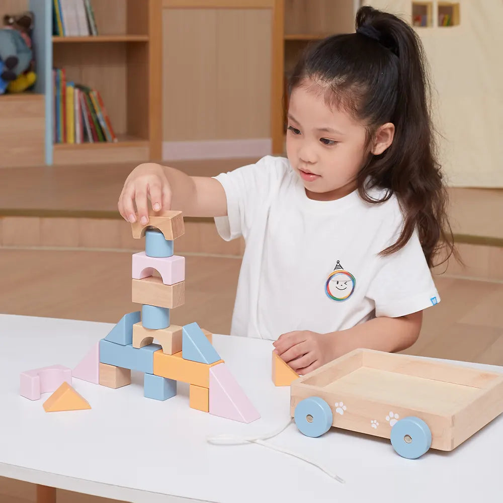 Viga Toys PolarB Chariot à Tirer avec Blocs 18M+