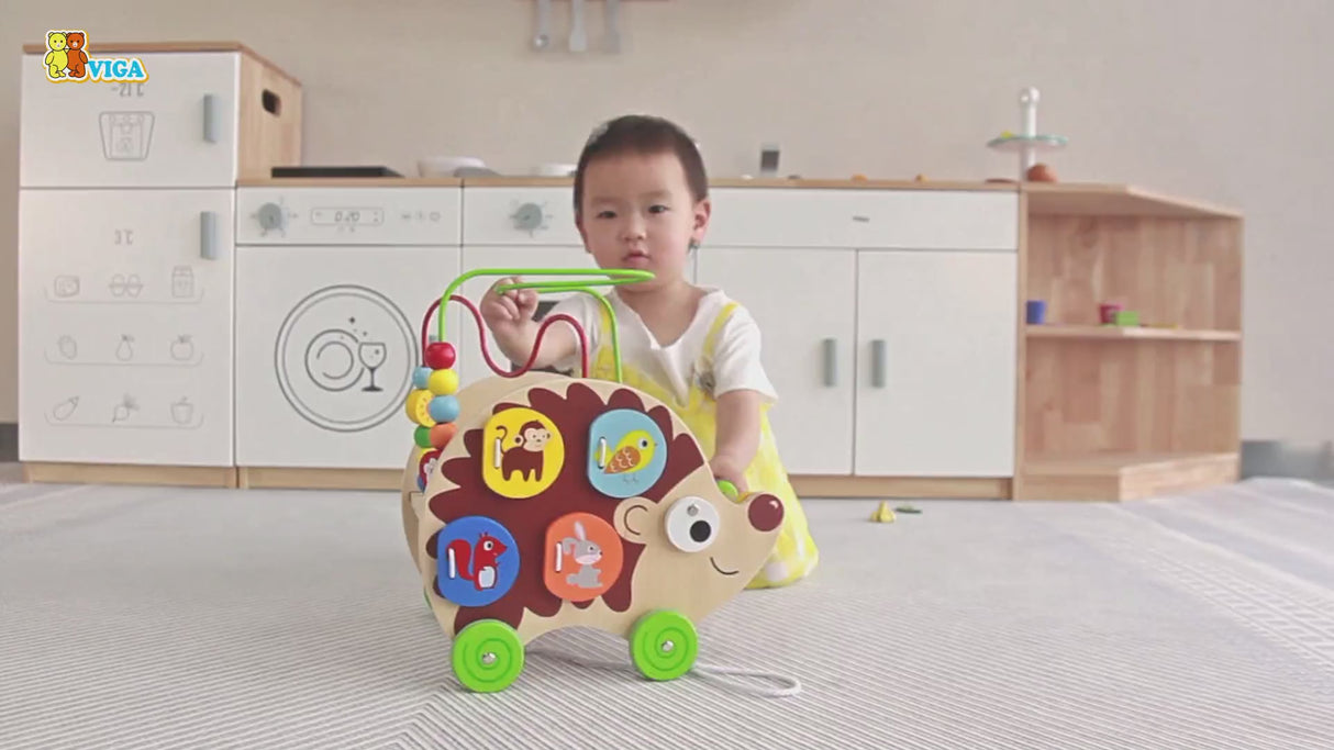 Viga Toys Hérisson D'activité à Tirer 4 En 1 12M+