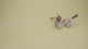Viga Toys PolarB Chien à Tirer en Bois 18M+