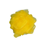 Zarine Fleur de Douche Mousse Abondante & Douceur