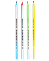 Boîte de 12 Crayons BIC Evolution 646 HB