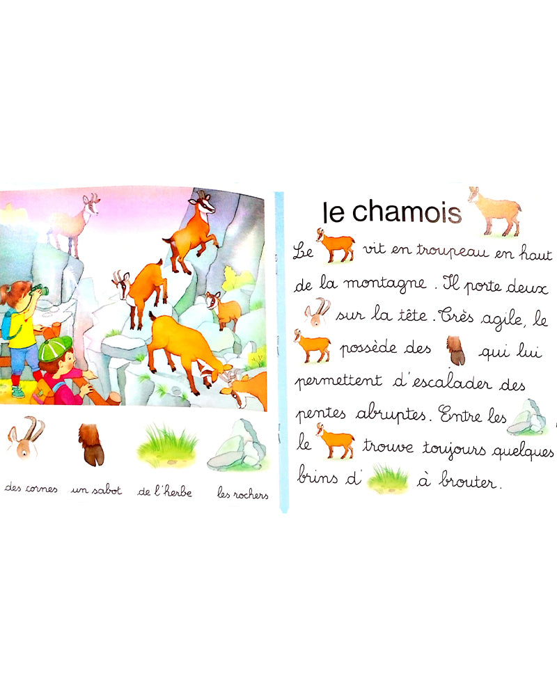 Jeux de mots - À la montagne
