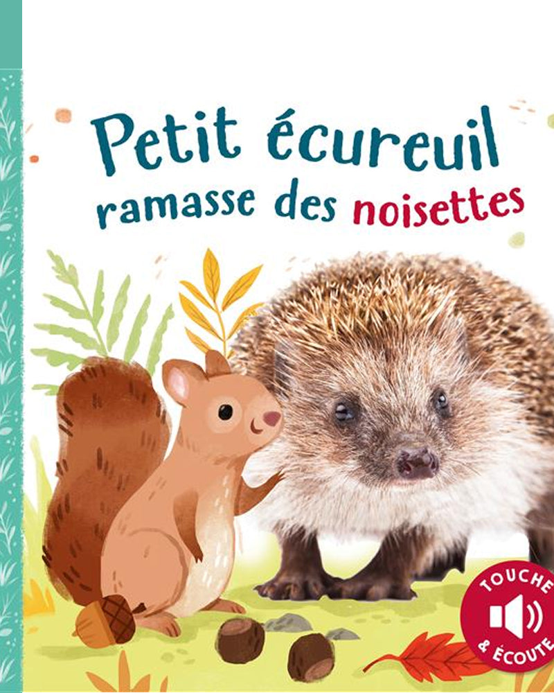 Sound Book - Little Squirrel Picks Up Nuts