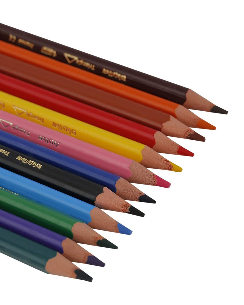 Boîte de 12 Crayons de Couleurs Triangulaires Bic