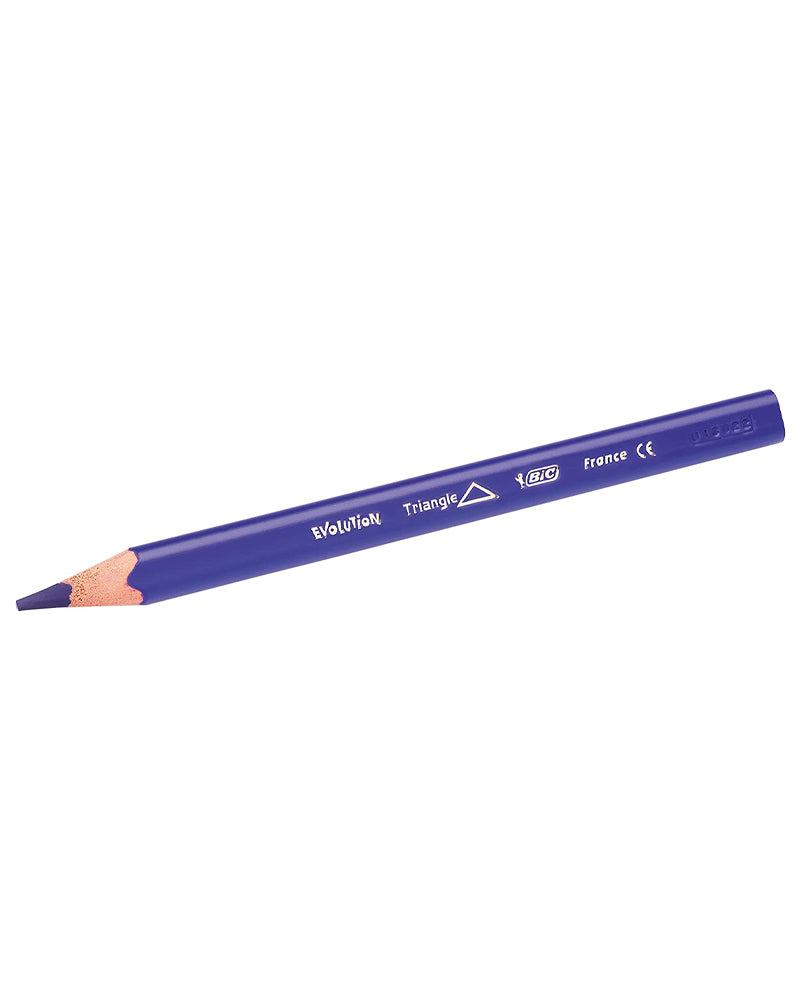 Boîte de 12 Crayons de Couleurs Triangulaires Bic