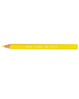 Boîte de 12 Crayons de Couleurs Triangulaires Bic