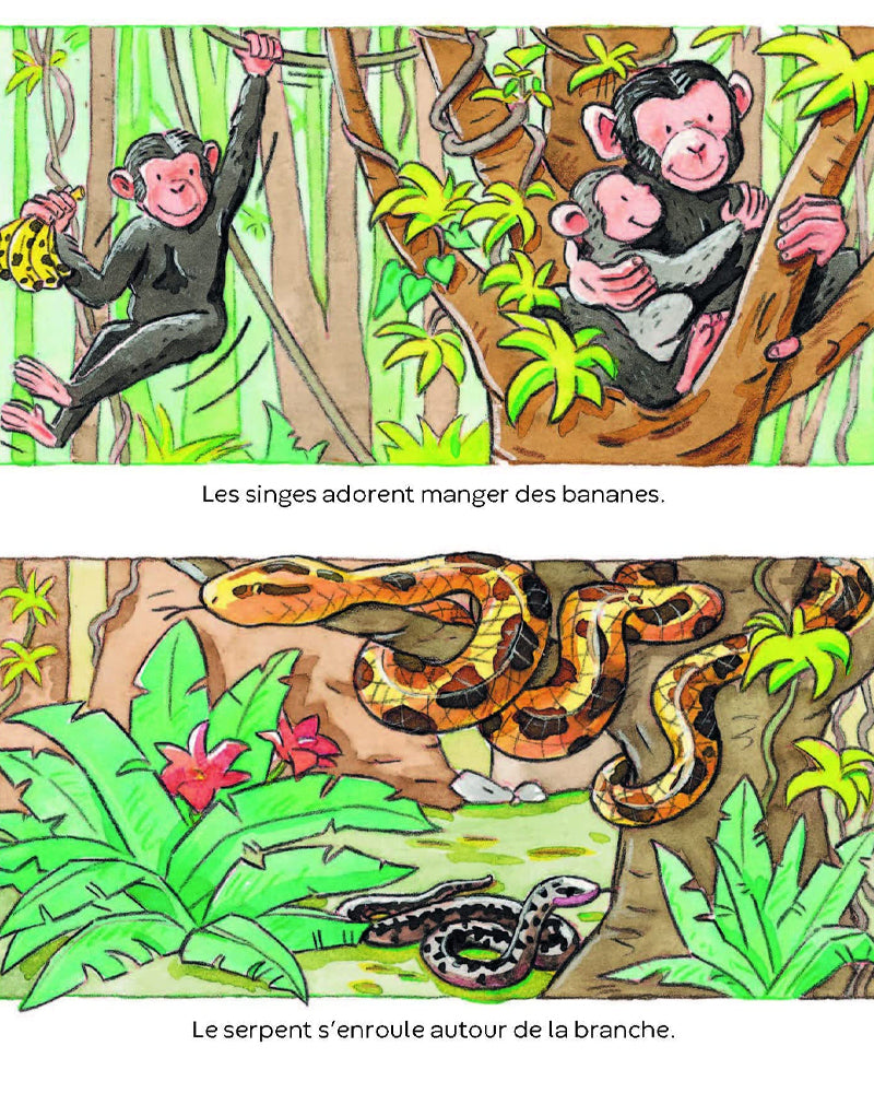 L’Imagerie des tout-petits - Les Animaux