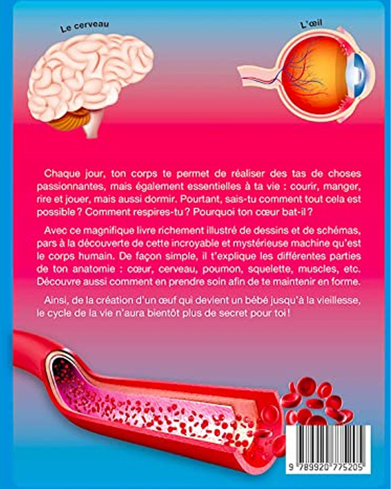 El cuerpo humano
