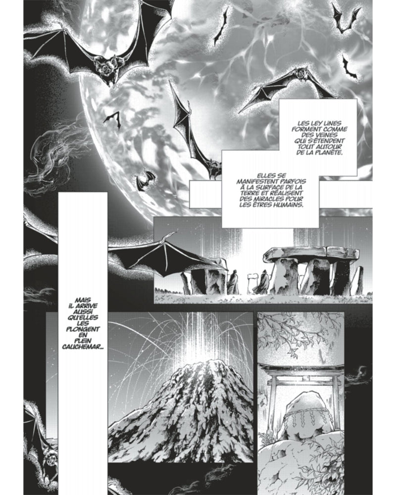 Batman and the Justice League - Tome 1