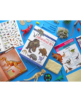 Coffret wonders of learning - Dinosaurs