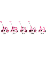 Molto Tricycle Urban Trike 5En1 - Rose