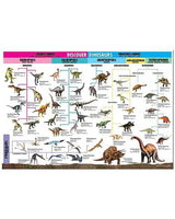Coffret wonders of learning - Dinosaurs