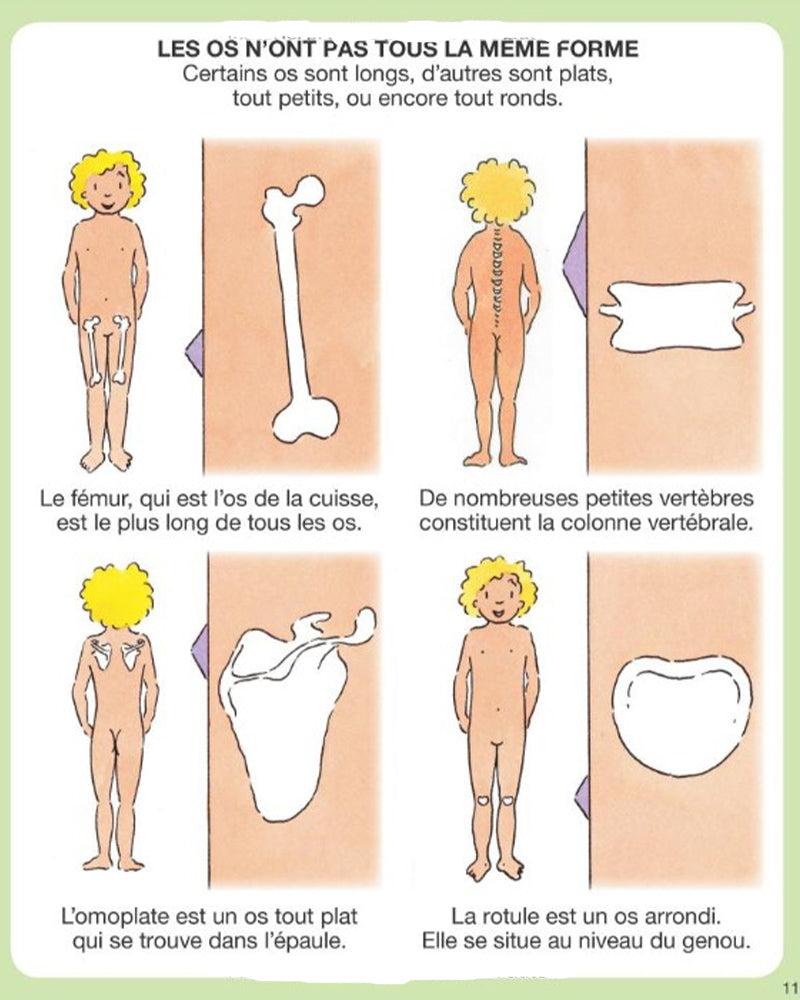 IMÁGENES - Imágenes del cuerpo humano