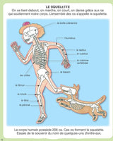 IMÁGENES - Imágenes del cuerpo humano