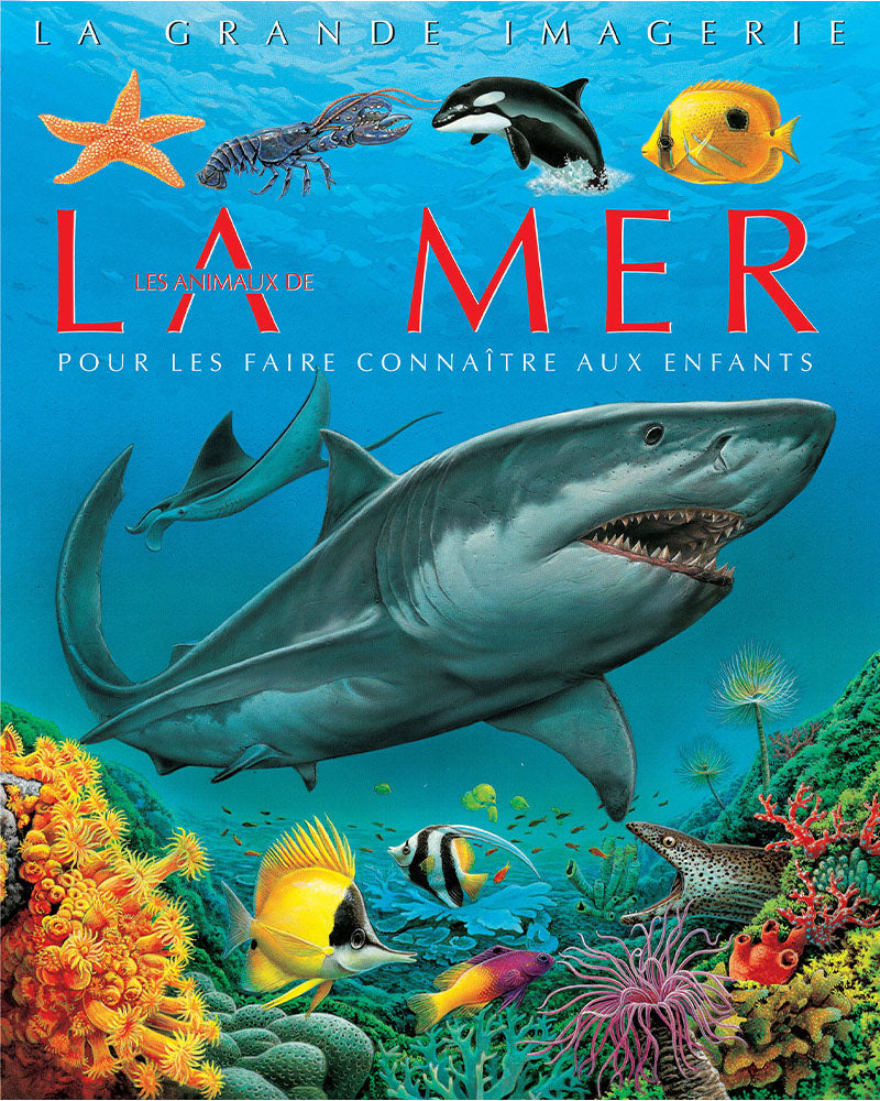 La grande imagerie - Les Animaux de la mer