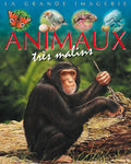 The Big Imagery - Very Clever Animals