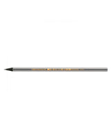 Boîte de 12 Crayons Bic Evolution Ecolutions - Noir