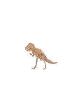 Coffret wonders of learning - Dinosaurs