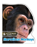 Collection Animal Board Books Marvellous Monkeys
