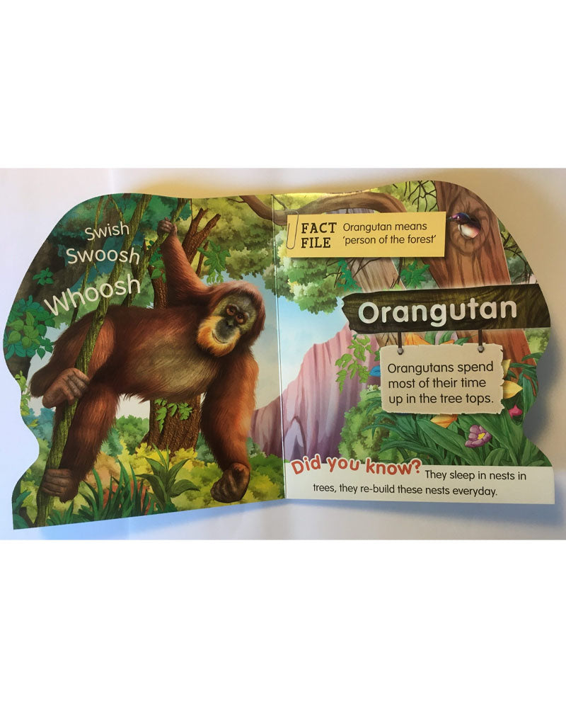 Collection Animal Board Books Marvellous Monkeys