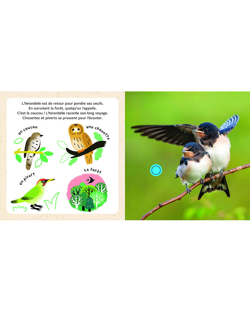 Mes bébés animaux dans le ciel - Livre Sonore National Geographic