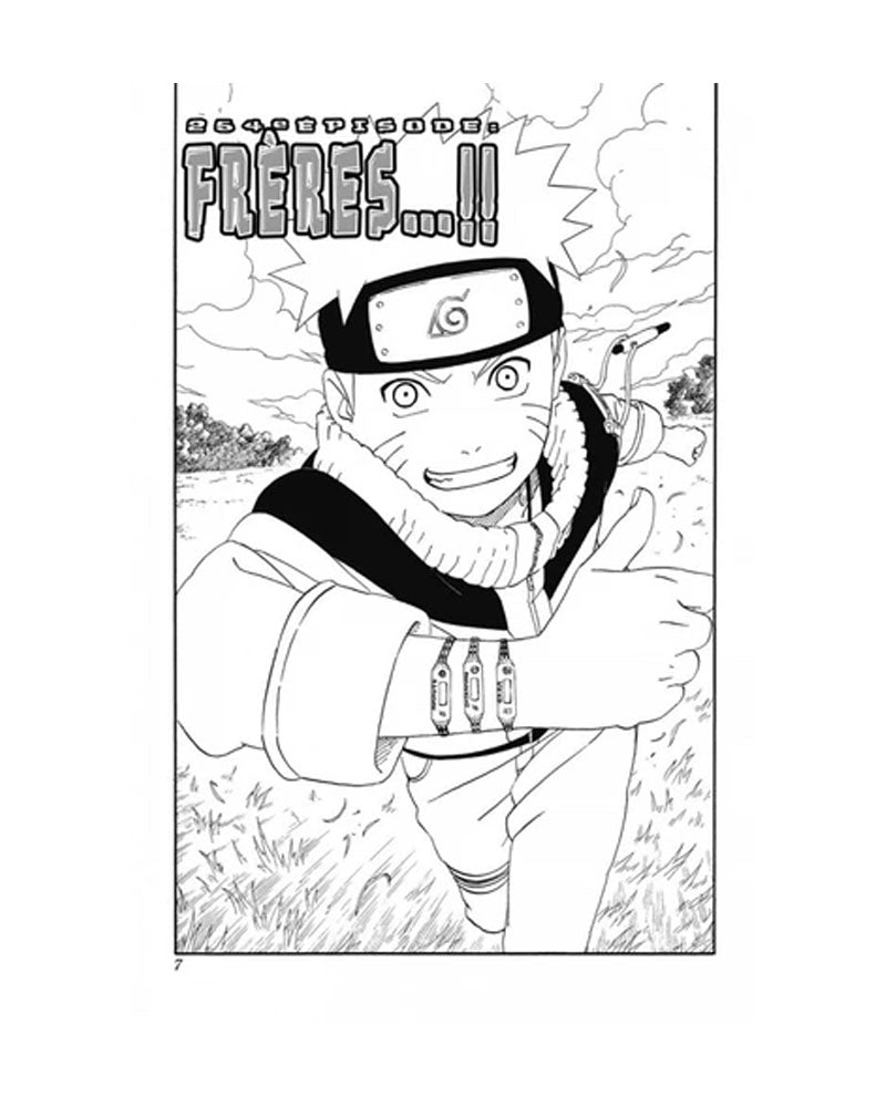 Naruto Tome 29