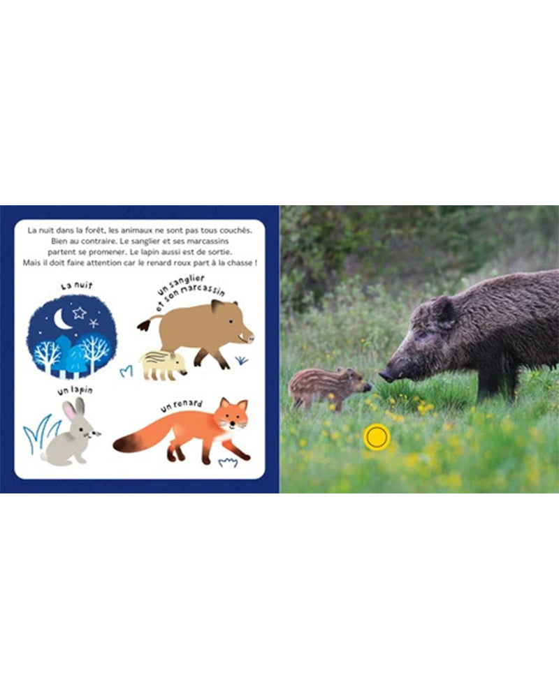 Mes bébés animaux dans la nuit - Livre Sonore National Geographic