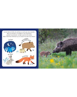 Mes bébés animaux dans la nuit - Livre Sonore National Geographic